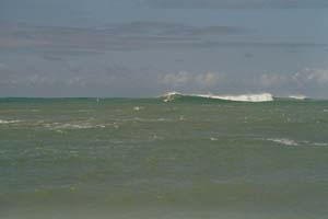 Windsurfen Hawaii 2006